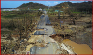 AutoInformed.com on Trump's Katrina